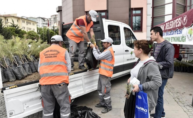 Mamak’ta ücretsiz fidan dağıtımı