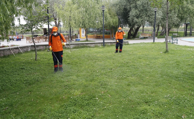 Gölbaşı Belediyesi İlaçlama Çalışmalarına Hız Verdi