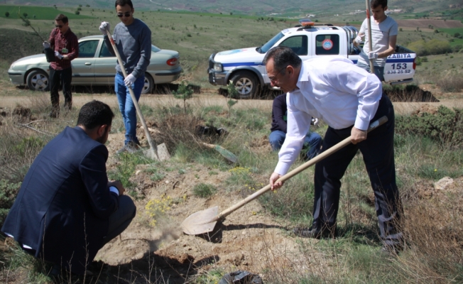 Havalimanı çalışanları fidan dikti