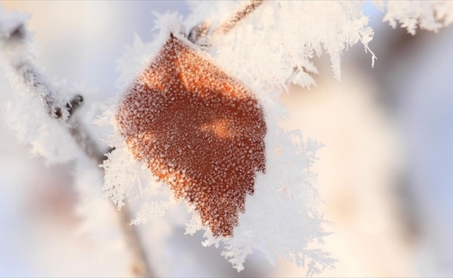 Meteorolojiden zirai don uyarısı