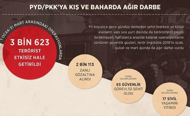 PYD/PKK'ya kış ve baharda ağır darbe