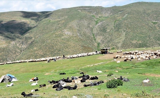 Terörden arındırılan yaylalar vatandaşın hizmetinde