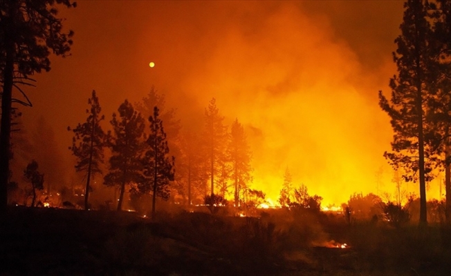 California'daki yangınlar 50 bin kişiyi evinden etti