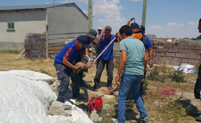 Su kuyusuna düşen yavru köpeği AFAD ekipleri kurtardı