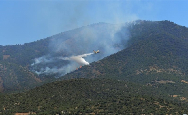 Tunceli'deki orman yangını söndürüldü