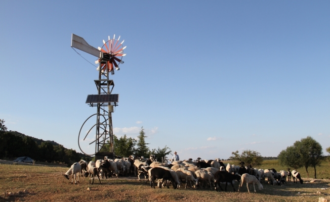 Beyşehir'de hayvanların içme suyu güneş ve rüzgar enerjisinden