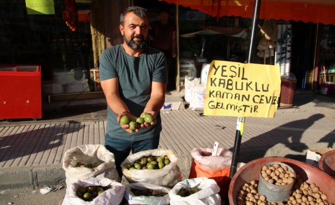 Kaman cevizinde bereketli hasat dönemi