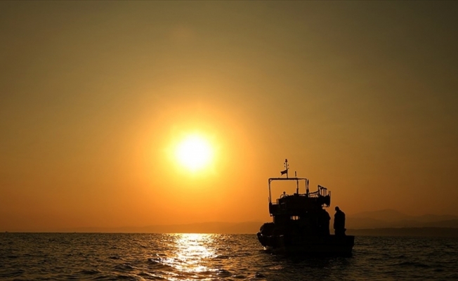 Karadeniz'de balık sezonunun ilk haftası verimli geçti