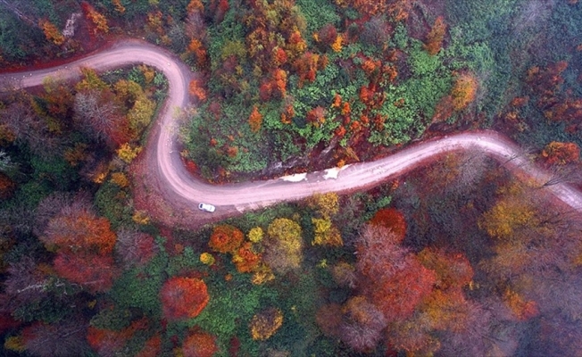 Batı Karadeniz yaylalarında 'hüzünlü güz' vedası