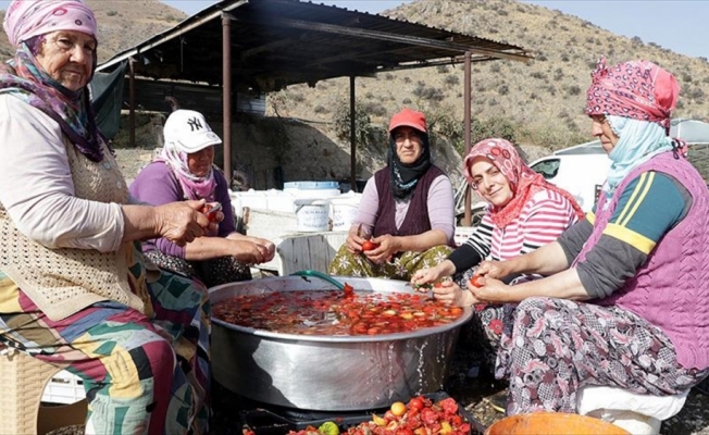 Domates tozuyla hayallerini gerçekleştirecek