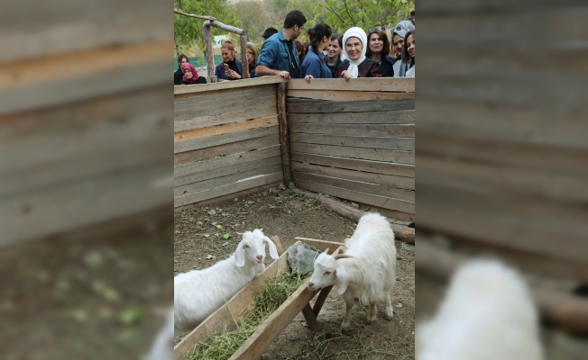 Emine Erdoğan'dan “Anadolu Açık Hava Müzesi Yaşayan Köy“e ziyaret