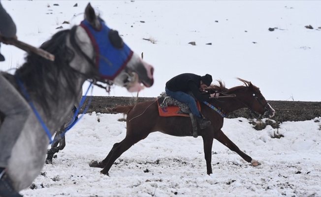 Cirit atlarının 'kar üstündeki dansı' başladı