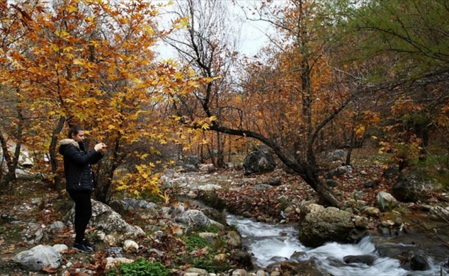 Doğu Akdeniz'de sonbahar renkleri