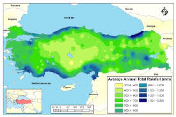 Dünyadaki yıllık yağışın yarısı 12 günde düşüyor