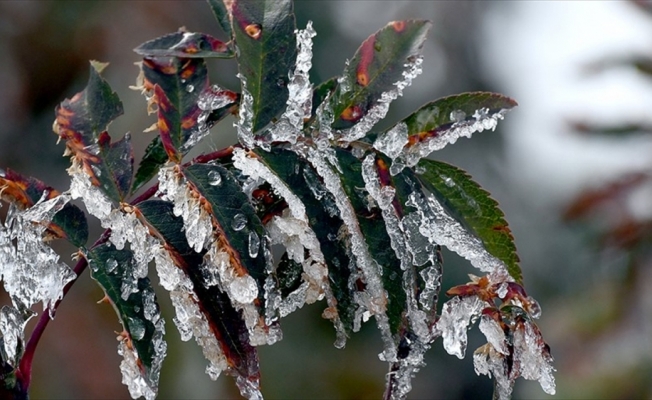 Meteorolojiden 5 il için buzlanma ve don uyarısı