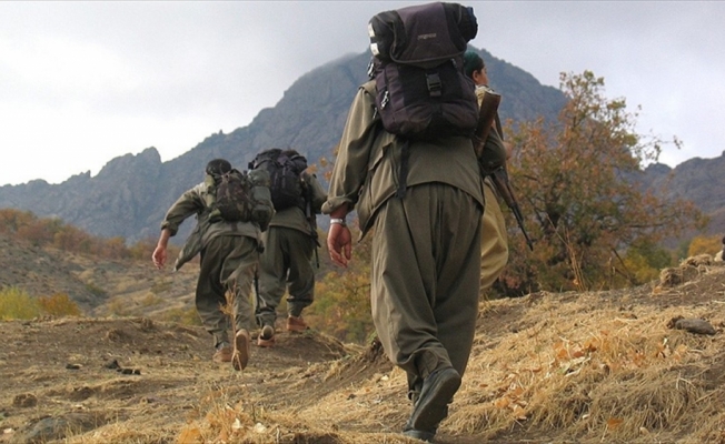 PKK'nın iğrenç yüzü bir annenin ifadesinde