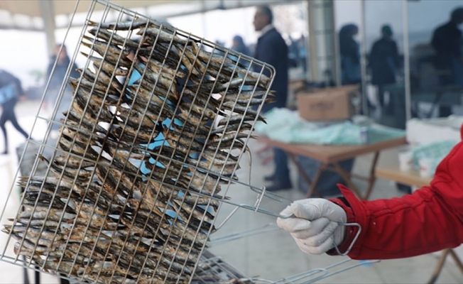 2 günde ayıklanan 1,5 ton hamsi 2 saatte tüketildi