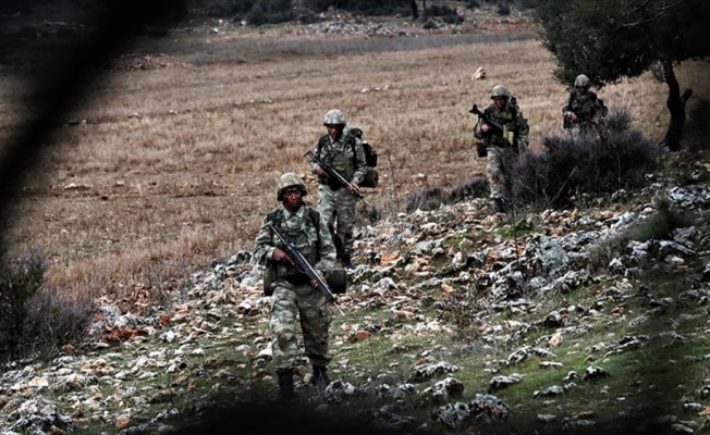 Mehmetçik'ten teröristlerin kış üslenmesine darbe