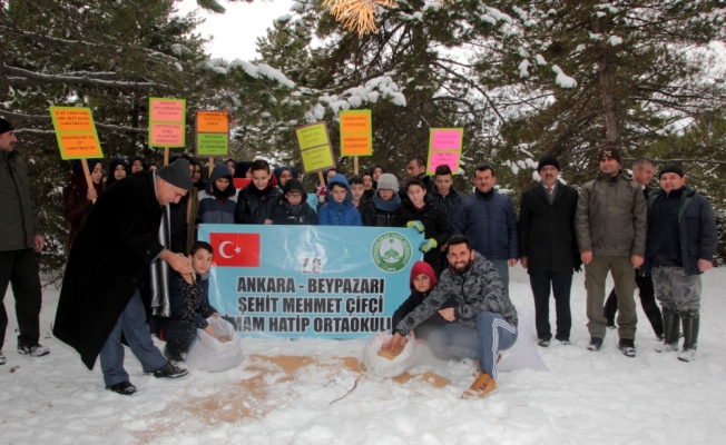 Öğrenciler yaban hayatı için doğaya yem bıraktı