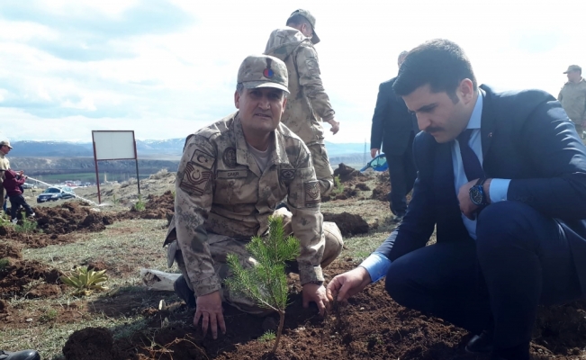 Hafik'te jandarma 180 fidanı toprakla buluşturdu