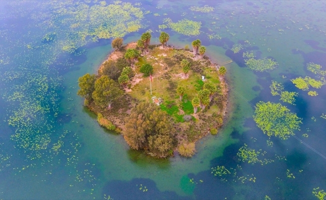 Kuş cenneti Gölbaşı turizme kazandırılacak