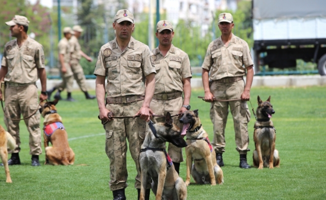 19 Mayıs Atatürk'ü Anma Gençlik ve Spor Bayramı