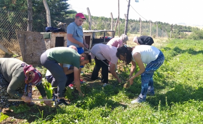 MHP Gölbaşı Kadın Kolları, otizmli çocuklarla bir araya geldi