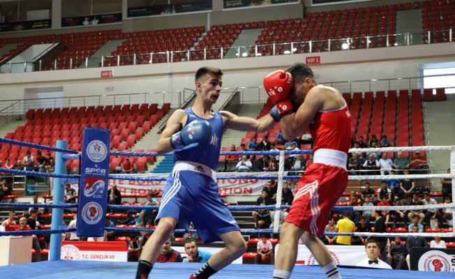 Büyük Erkekler Türkiye Ferdi Boks Şampiyonası