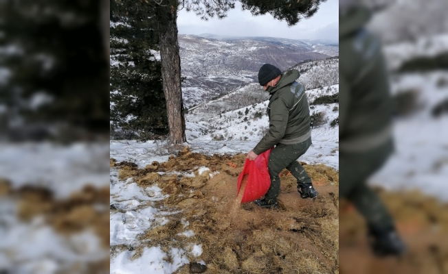 Beypazarı Milli Parklar Şefliği doğaya yem bıraktı