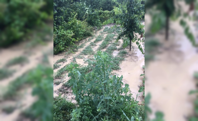 Nallıhan'da sağanak ve dolu, bazı ekili arazilerde zarara yol açtı