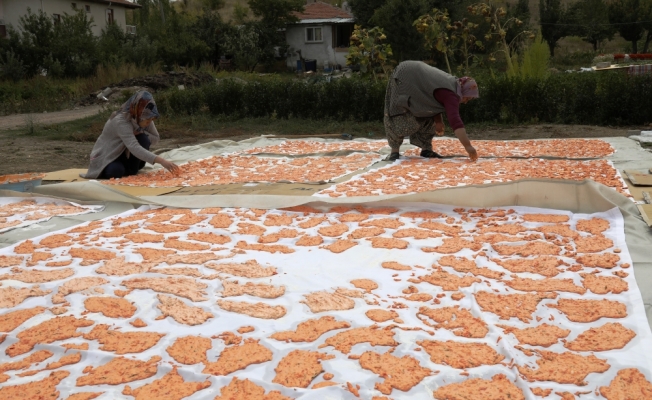 Ankara'da kışlık ev salçası ve tarhana mesaisi başladı