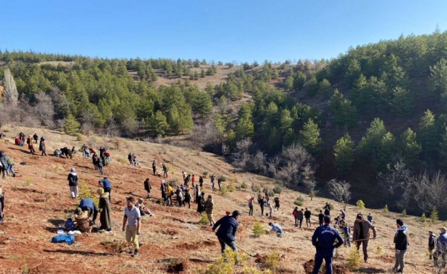 Kırıkkale Belediyesi Gençlik Merkezi üyeleri fidan dikti