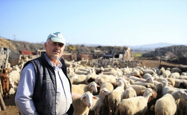 Gübre ve yem fiyatlarındaki indirim üreticileri sevindirdi