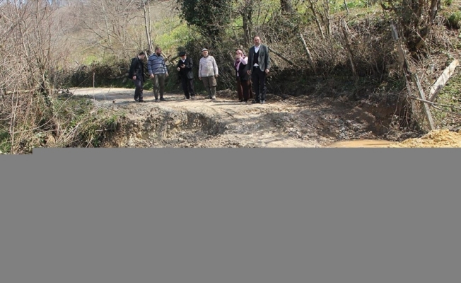 Ordu'da heyelan nedeniyle bahçe ve yollar zarar gördü