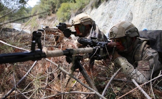 Barış Pınarı bölgesinde 10 PKK/YPG'li terörist etkisiz hale getirildi