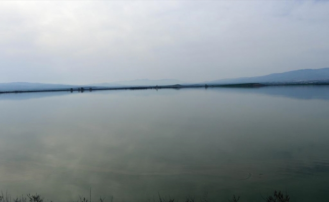 Geçen yıl kuraklıktan etkilenen Amasya'da barajlar doldu