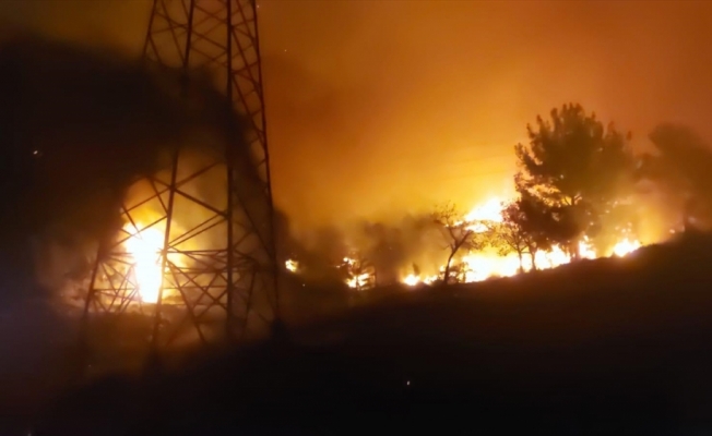 Hatay'da ormanlık alanda yangın çıktı