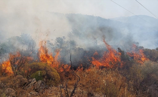 Dalaman'da orman ve makilik alanda yangın çıktı