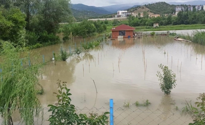 Sinop'ta su altında kalan tarım arazileri zarar gördü