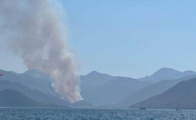 Marmaris'te orman yangını başladı