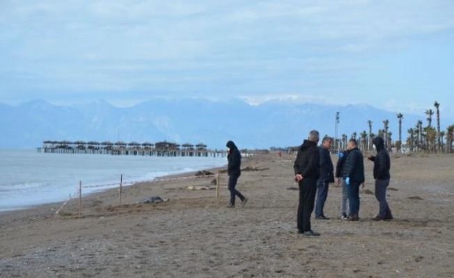 Antalya sahillerinde bulunan ceset sayısı 8'e yükseldi