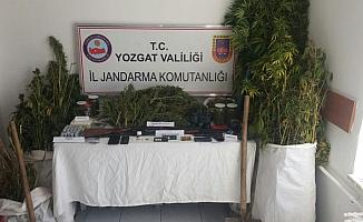 Yozgat'ta uyuşturucu operasyonu: 3 tutuklama