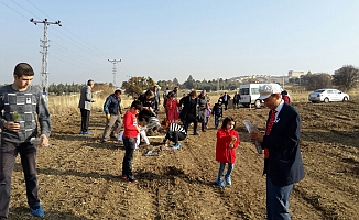 Engelli öğrenciler fidan dikti