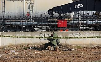 İhbar üzerine incelenen alandan gömülü kedi ölüsü çıktı