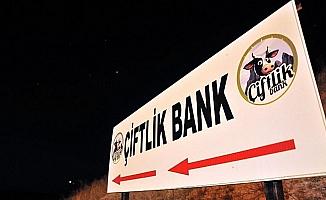 Çiftlik Bank soruşturmasında kırmızı bülten kararı