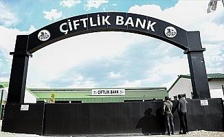 Çiftlik Bank'ın yazılımcısı tutuklandı