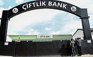 Bulgaristan'ın iade ettiği Çiftlik Bank firarisi adliyede