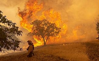 California'daki yangınlar kontrol altına alınamıyor