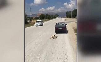 Köpeği otomobile bağlayarak sürükleyen kişi gözaltına alındı