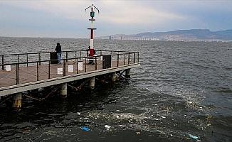 'Analiz değerleri körfezin kirli olduğunu gösteriyor'